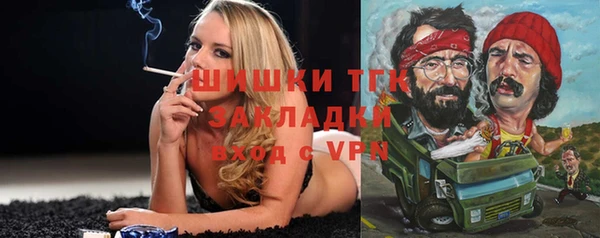 сатива Нягань