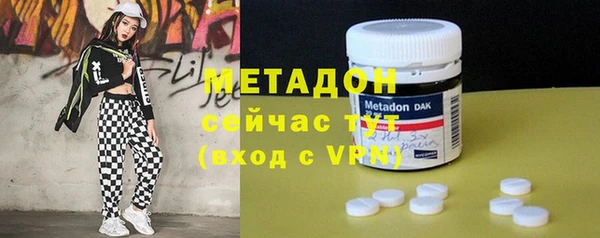 гидра Няндома
