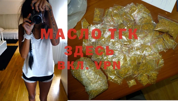 гидра Няндома