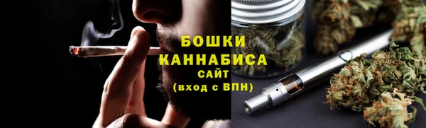 сатива Нягань