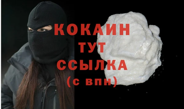 гидра Няндома