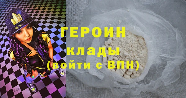 гидра Няндома