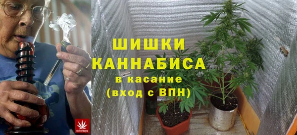 сатива Нягань