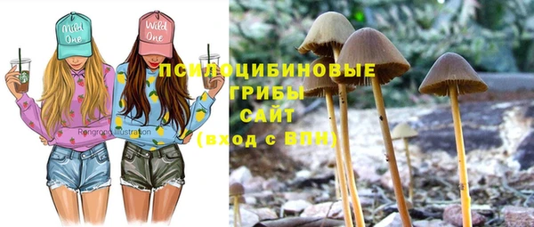 гидра Няндома