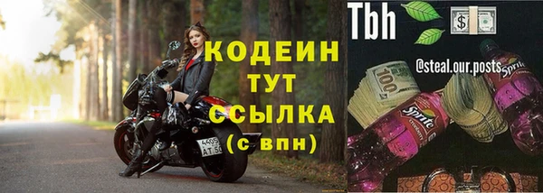 гидра Няндома
