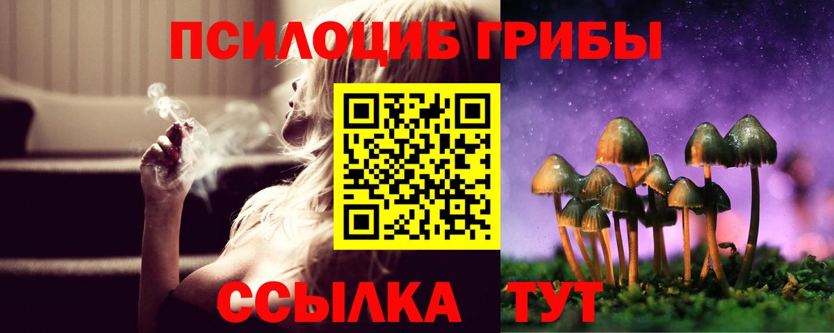Тара  Псилоцибиновые грибы Psilocybine cubensis  где найти   Галлюциногенные грибы мухоморы  Вход с VPN 